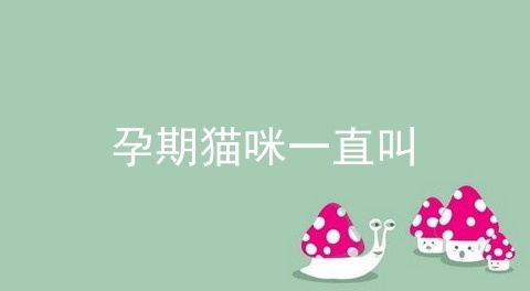 孕期猫咪一直叫