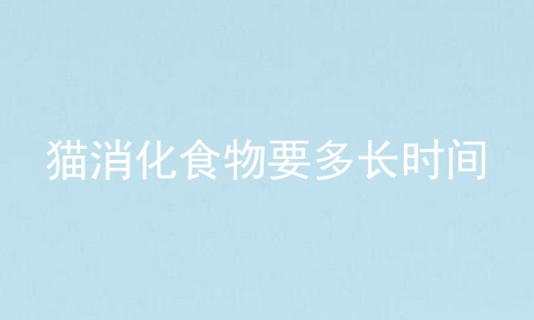 猫消化食物要多长时间