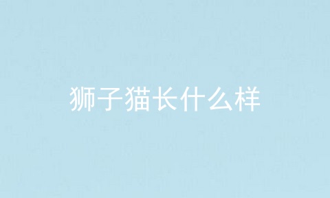 狮子猫长什么样