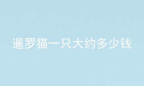 暹罗猫一只大约多少钱