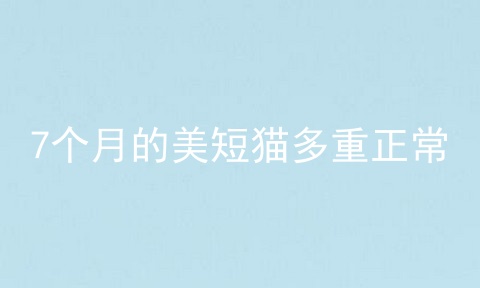 7个月的美短猫多重正常