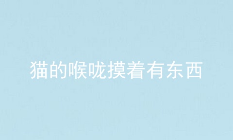 猫的喉咙摸着有东西