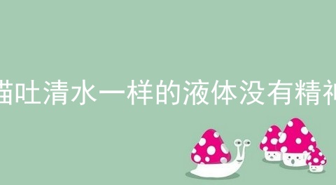 猫吐清水一样的液体没有精神