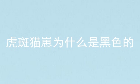 虎斑猫崽为什么是黑色的
