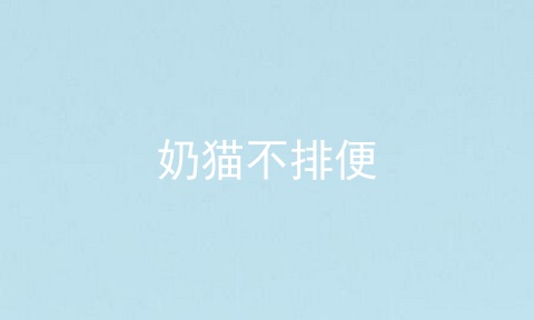 奶猫不排便
