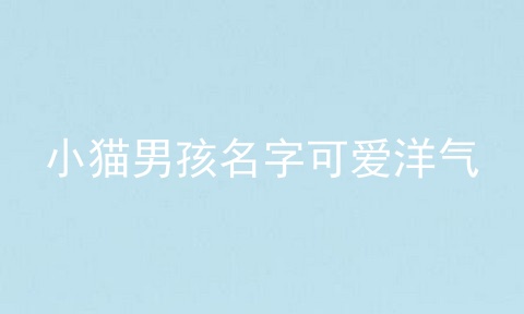 小猫男孩名字可爱洋气