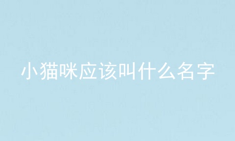小猫咪应该叫什么名字