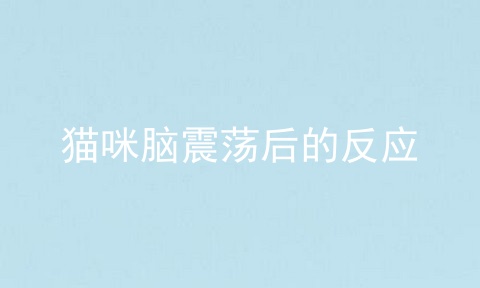 猫咪脑震荡后的反应