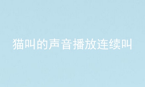 猫叫的声音播放连续叫