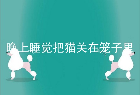 晚上睡觉把猫关在笼子里