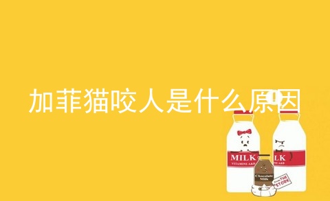 加菲猫咬人是什么原因