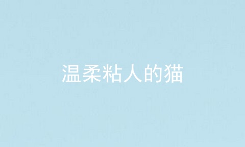 温柔粘人的猫