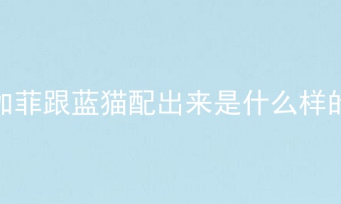 加菲跟蓝猫配出来是什么样的