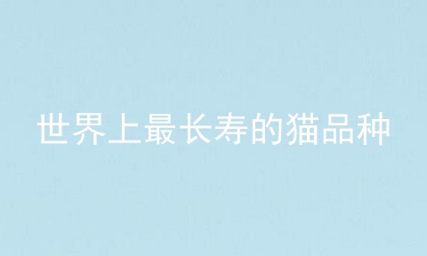 世界上最长寿的猫品种