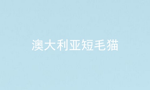 澳大利亚短毛猫