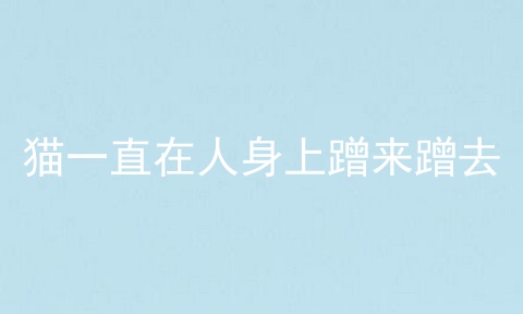 猫一直在人身上蹭来蹭去