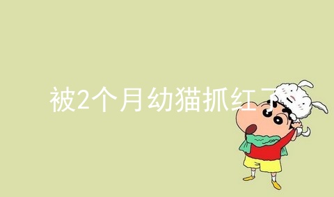 被2个月幼猫抓红了