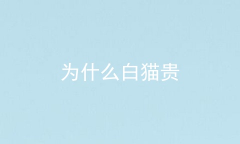 为什么白猫贵