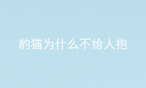 豹猫为什么不给人抱