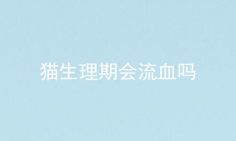猫生理期会流血吗