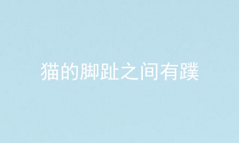 猫的脚趾之间有蹼