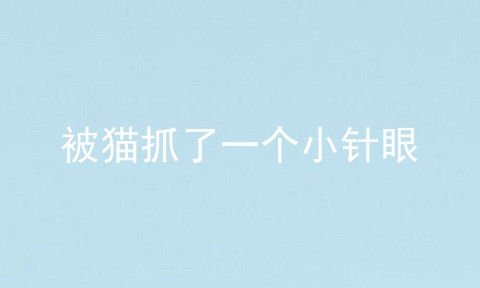 被猫抓了一个小针眼