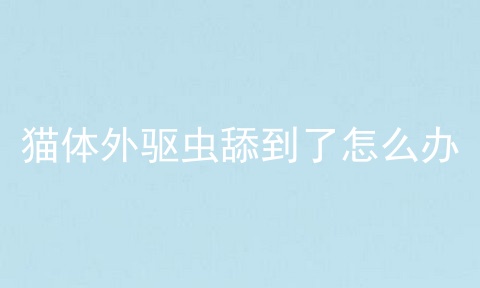 猫体外驱虫舔到了怎么办