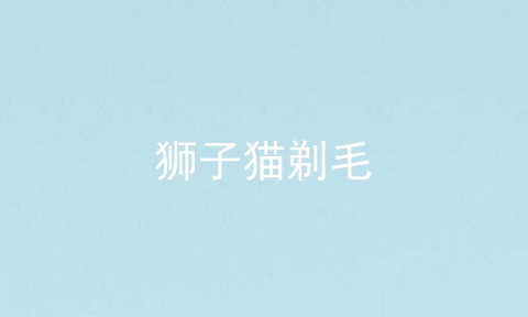 狮子猫剃毛