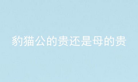 豹猫公的贵还是母的贵