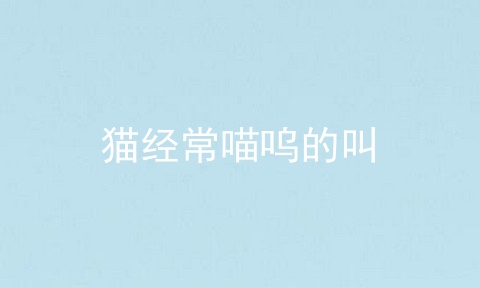 猫经常喵呜的叫
