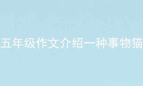 五年级作文介绍一种事物猫