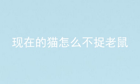 现在的猫怎么不捉老鼠