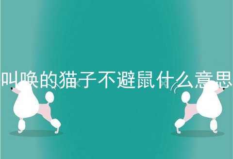 叫唤的猫子不避鼠什么意思
