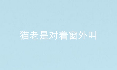猫老是对着窗外叫