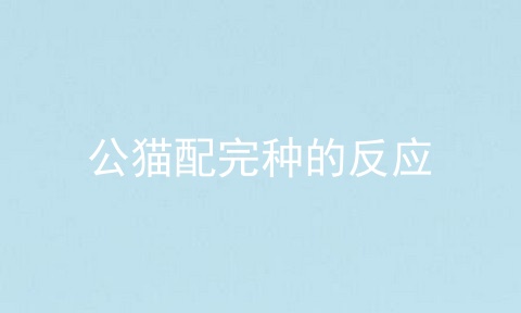 公猫配完种的反应
