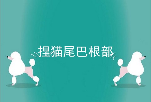 捏猫尾巴根部