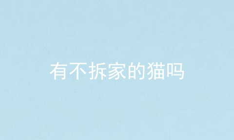 有不拆家的猫吗
