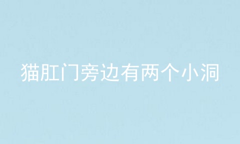 猫肛门旁边有两个小洞