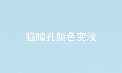 猫瞳孔颜色变浅