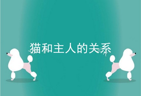 猫和主人的关系
