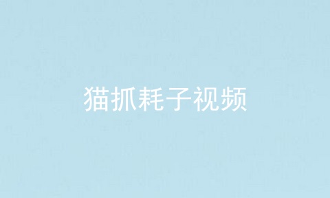 猫抓耗子视频