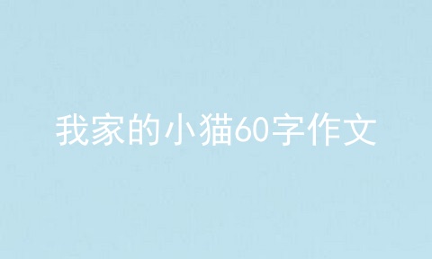 我家的小猫60字作文