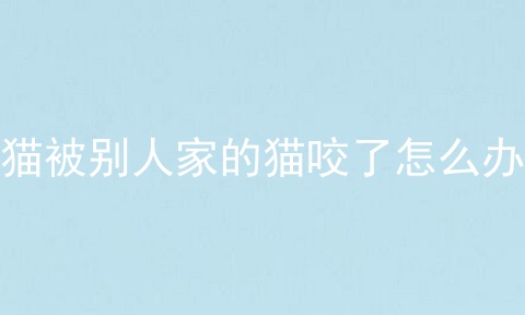 猫被别人家的猫咬了怎么办