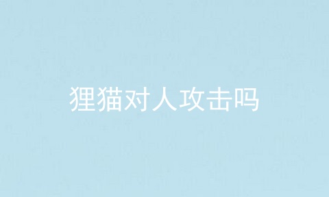狸猫对人攻击吗