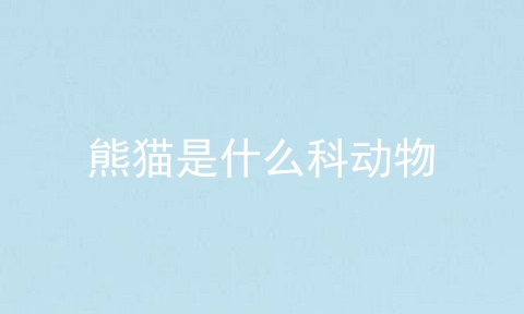 熊猫是什么科动物