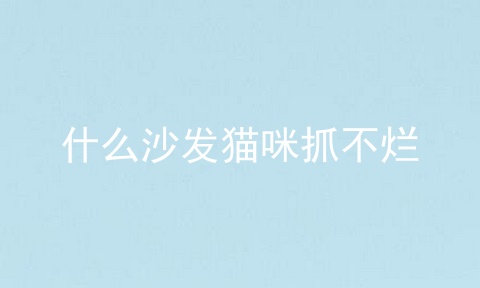 什么沙发猫咪抓不烂