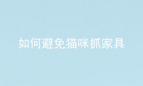 如何避免猫咪抓家具