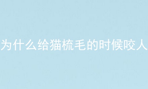 为什么给猫梳毛的时候咬人