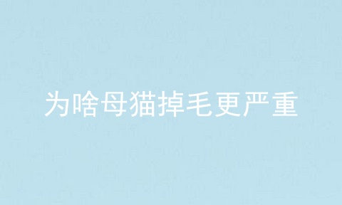 为啥母猫掉毛更严重