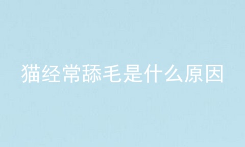 猫经常舔毛是什么原因